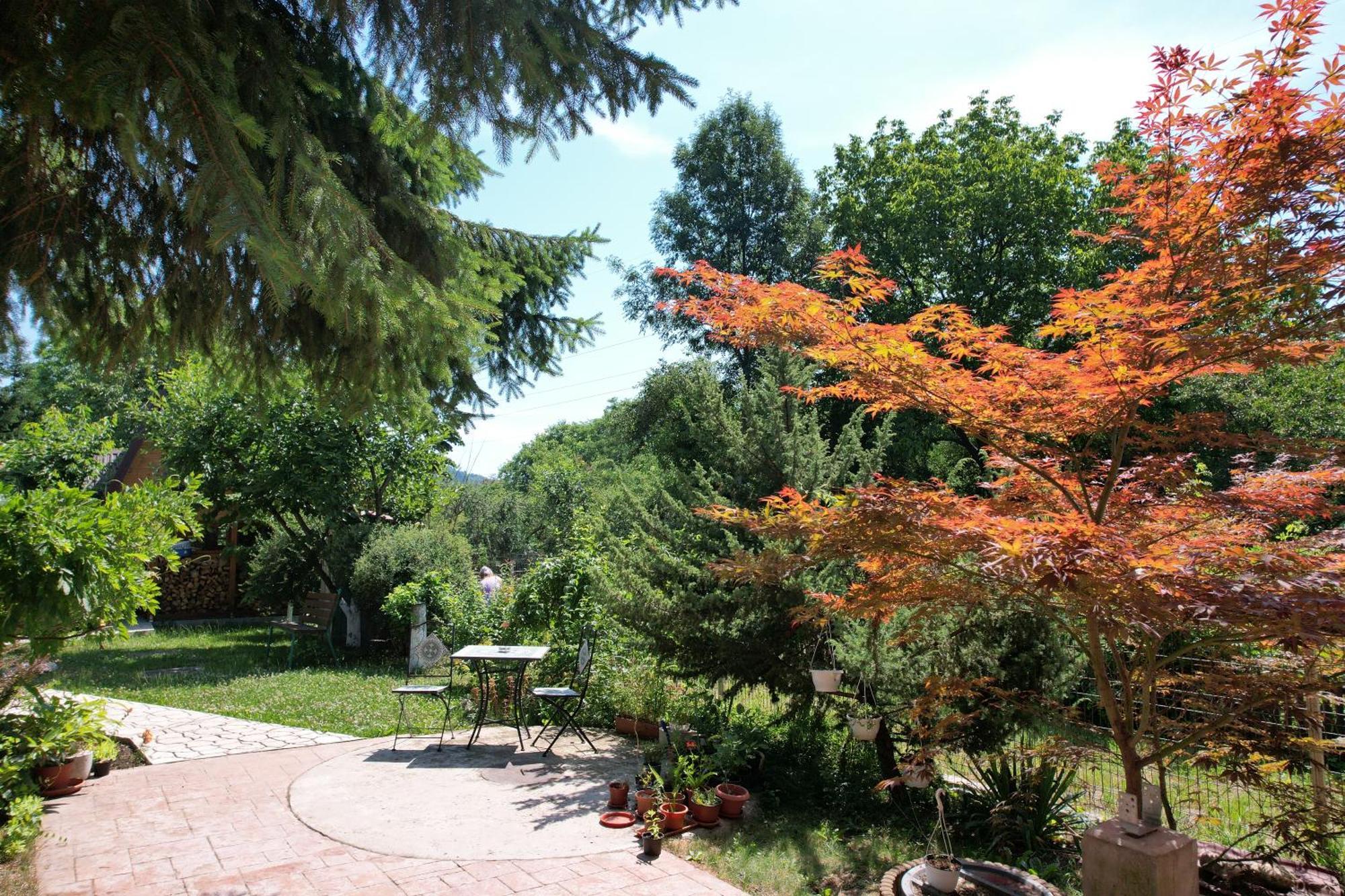 Casa Stefandra Ξενοδοχείο Breaza  Εξωτερικό φωτογραφία