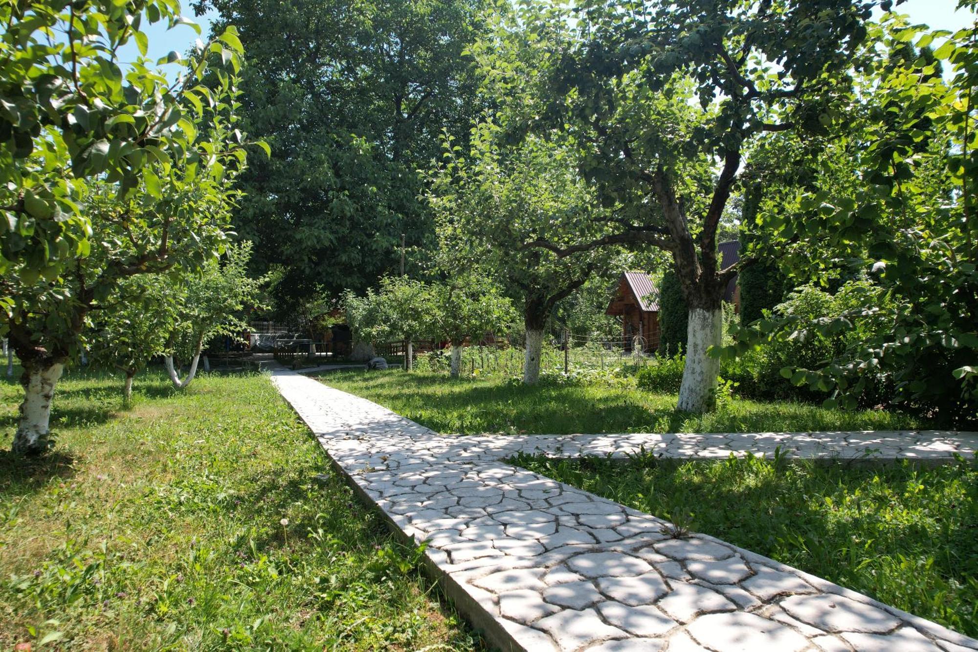 Casa Stefandra Ξενοδοχείο Breaza  Εξωτερικό φωτογραφία