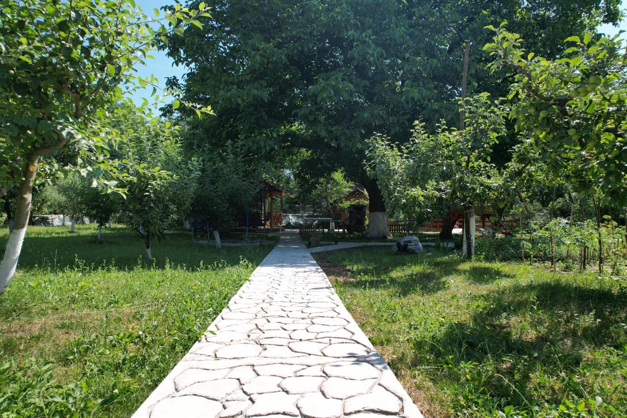 Casa Stefandra Ξενοδοχείο Breaza  Εξωτερικό φωτογραφία